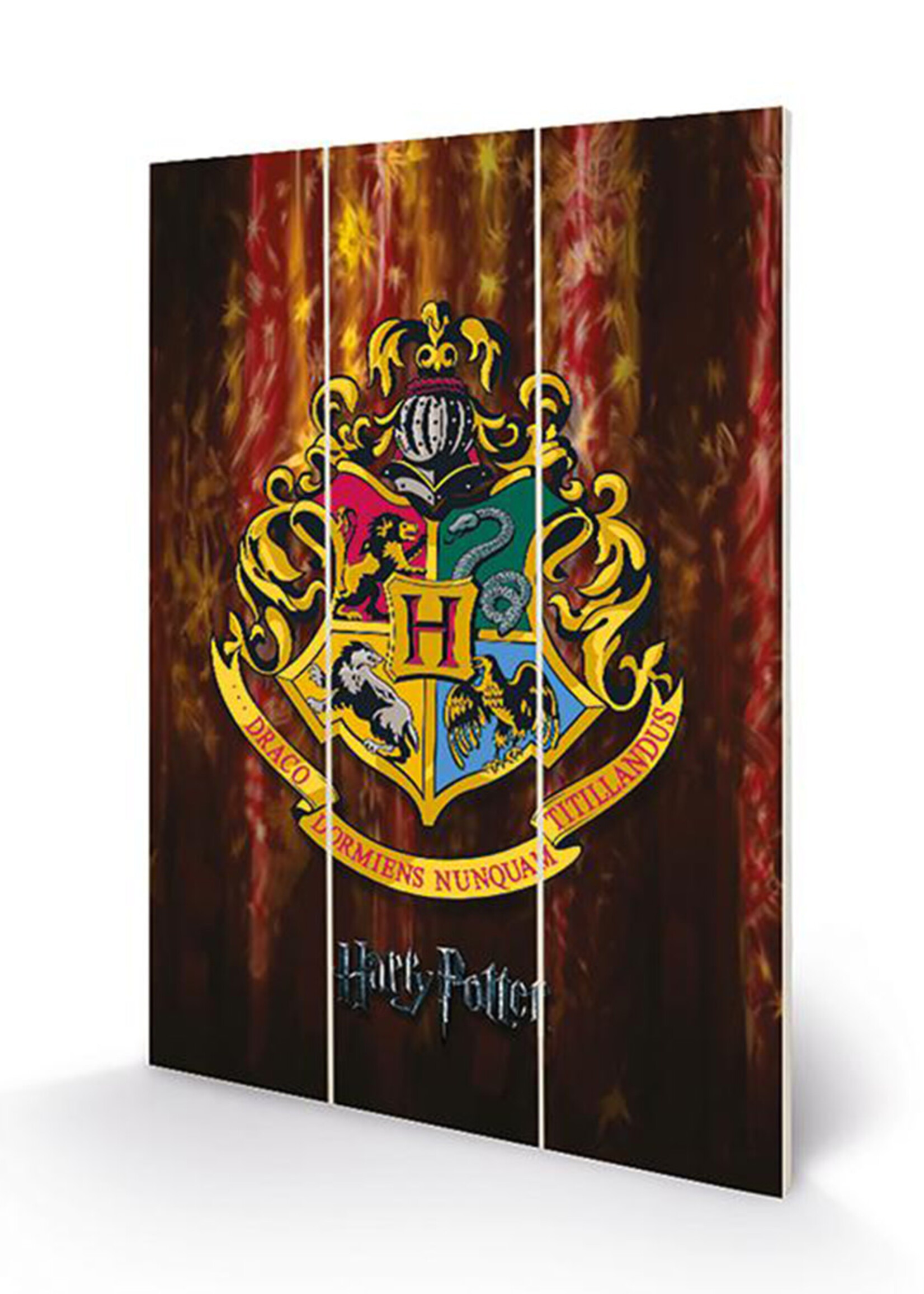 HARRY POTTER - Wood Print 20X29.5 - Hogwarts Crest