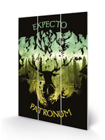 Harry Potter Expecto Patronum Wood Print 20x29cm