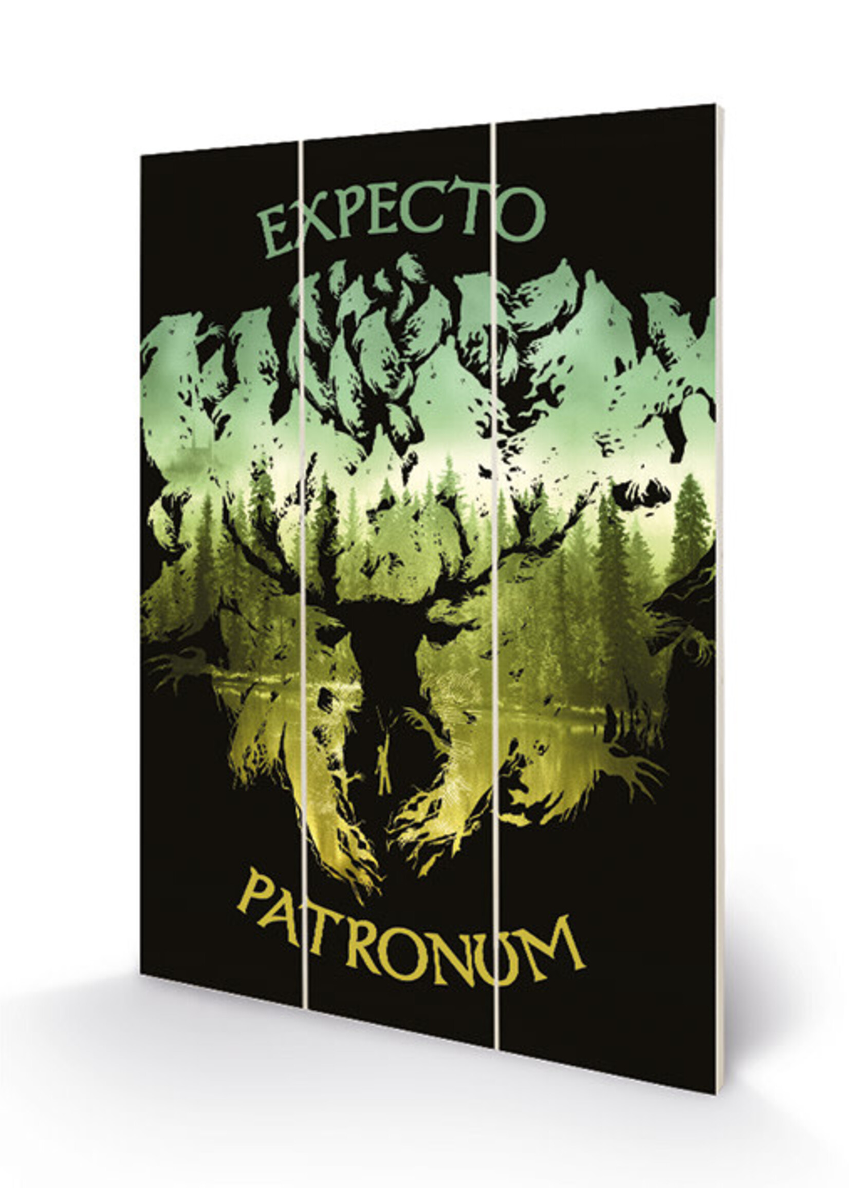 Harry Potter Expecto Patronum Wood Print 20x29cm