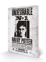 Harry Potter Undesirable No. 1  Wood Print 20x29cm