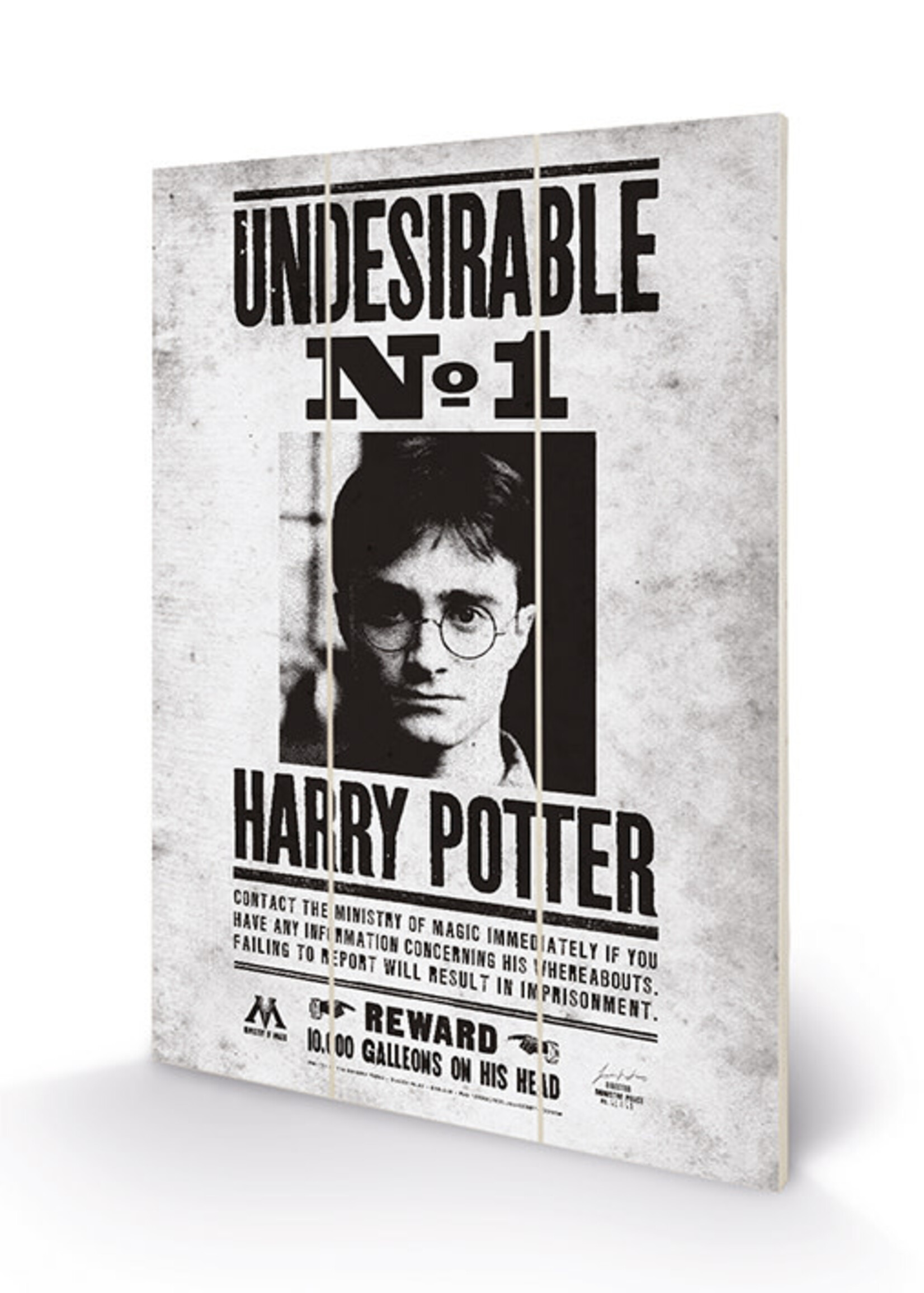Harry Potter Undesirable No. 1  Wood Print 20x29cm