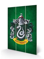 Harry Potter Slytherin Crest  Wood Print 20x29cm