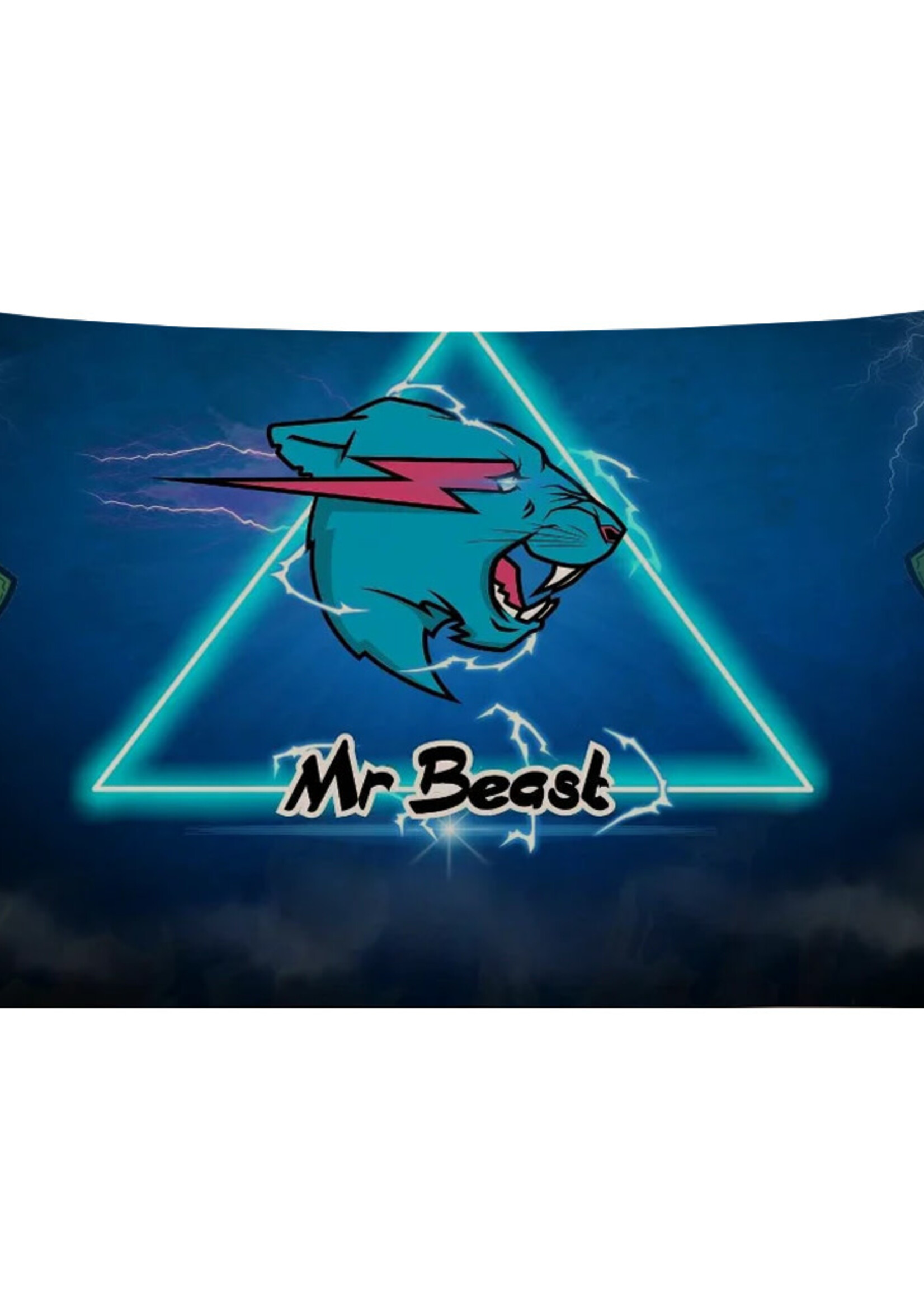 Vlag 60 x 90cm Mr. Beast