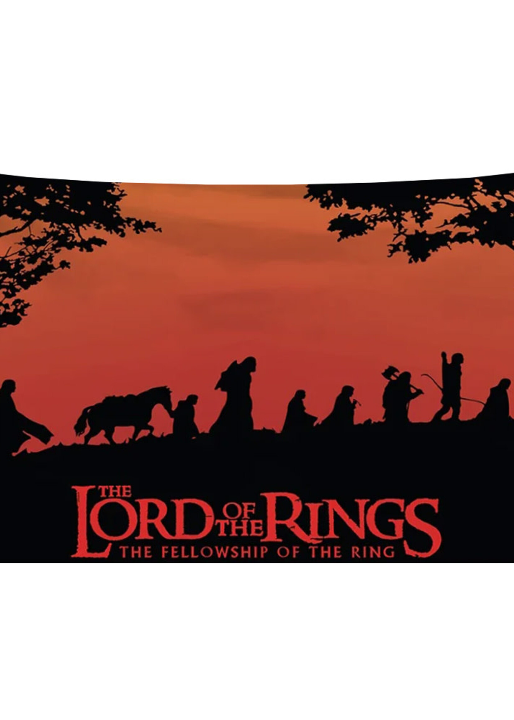Vlag 60 x 90cm The Lord Of The  Rings Fellowship Of The Ring