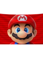 Vlag 60 x 90cm Mario