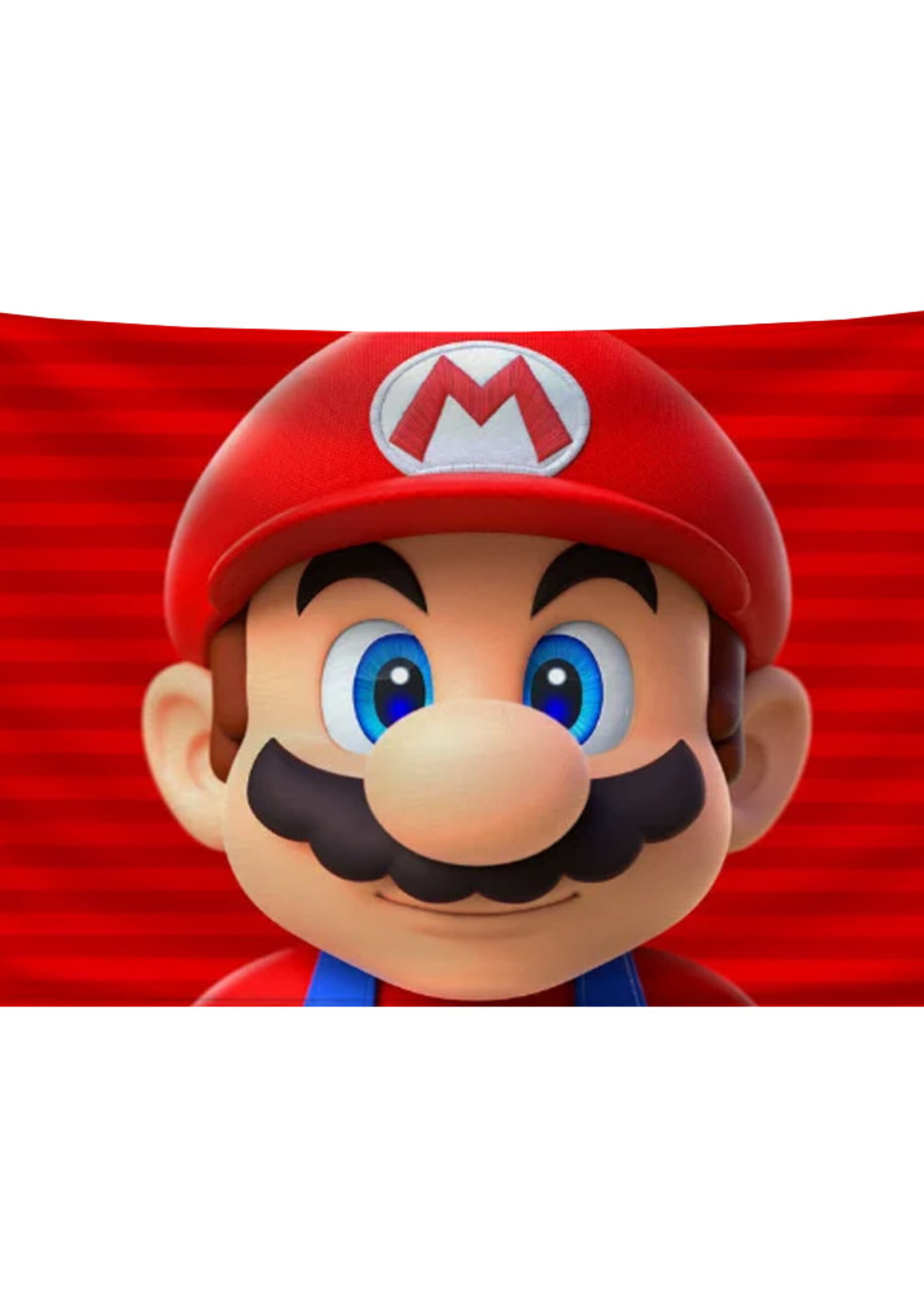 Vlag 60 x 90cm Mario