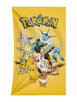 Vlag 90 x 60cm Pokémon  Eeveelutions
