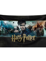 Vlag 60 x 90cm Harry Potter Film