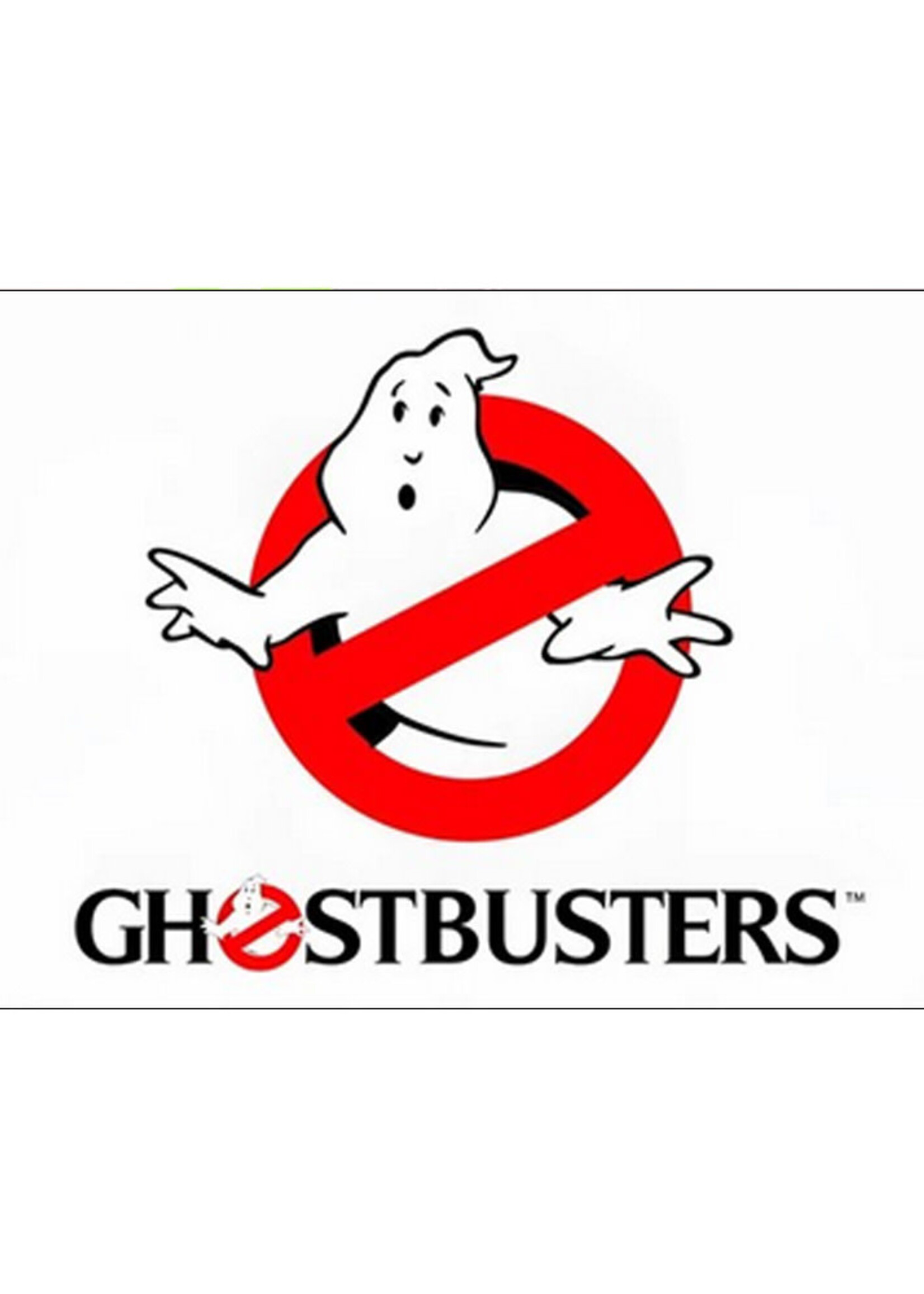 Vlag 60 x 90cm Ghostbusters Logo
