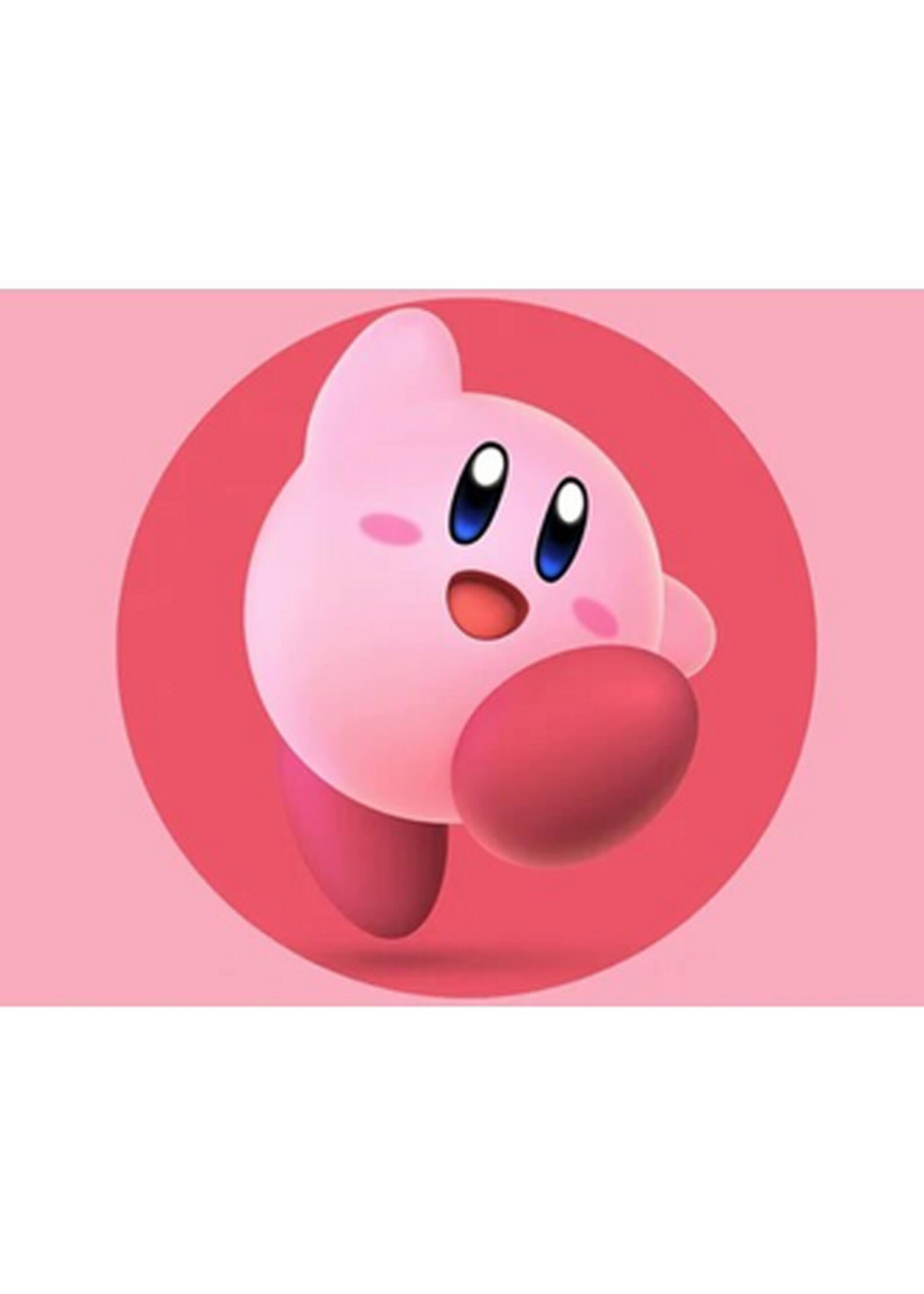 Vlag 60 x 90cm Kirby