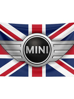 Vlag 60 x 90cm Mini Logo