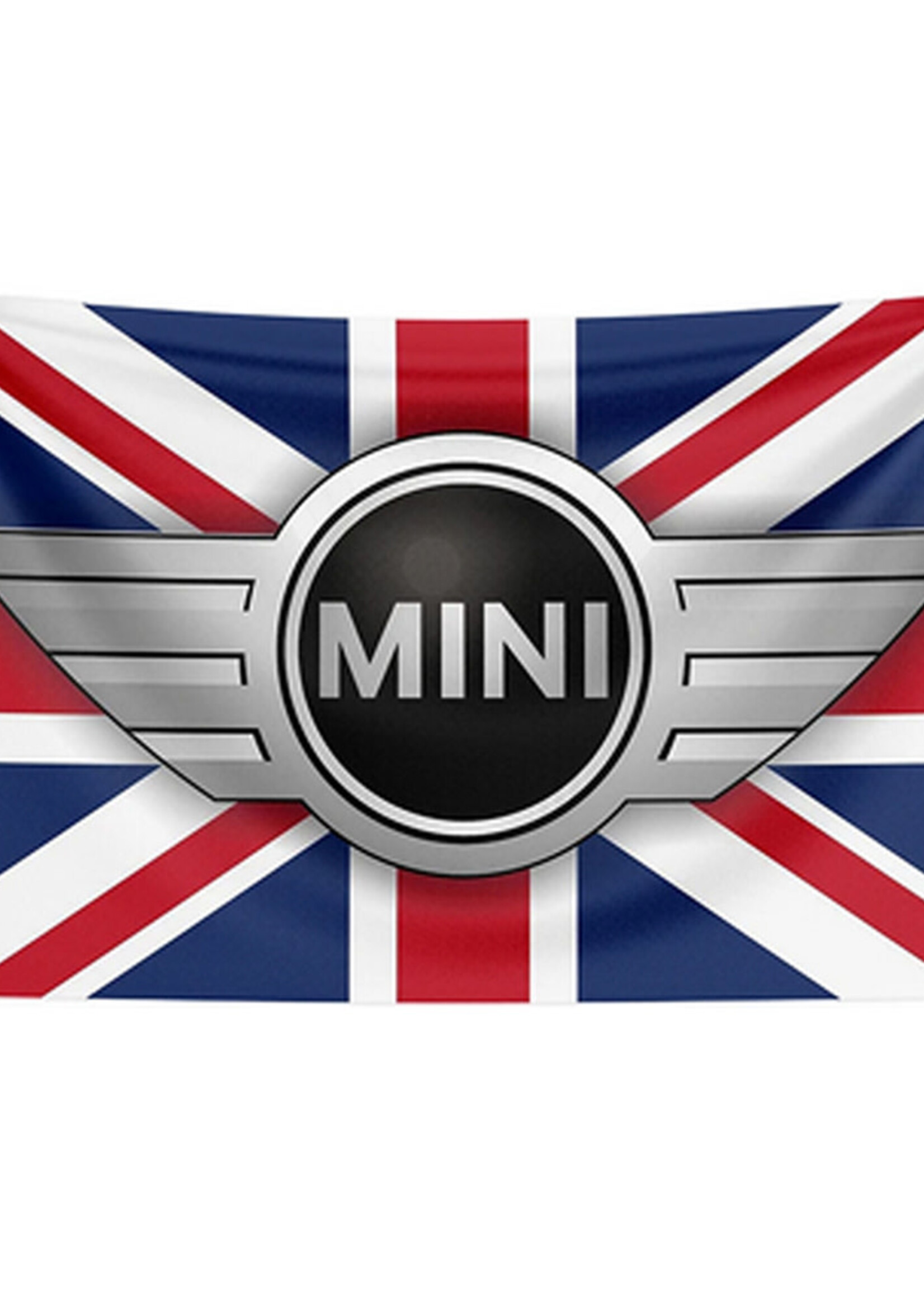 Vlag 60 x 90cm Mini Logo