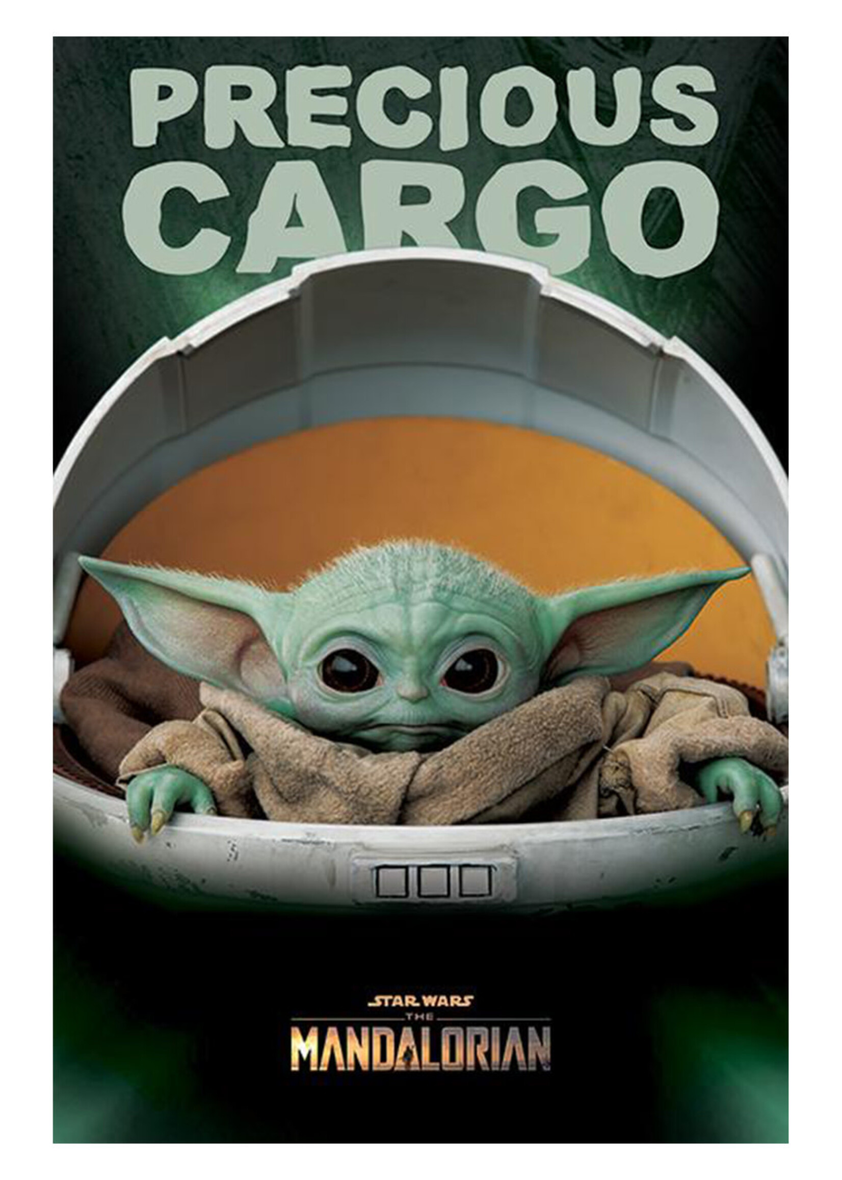 Star Wars The Mandalorian Poster 61X91 Precious Cargo