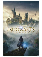 Hogwarts Legacy Wizarding World Universe Poster 61x91