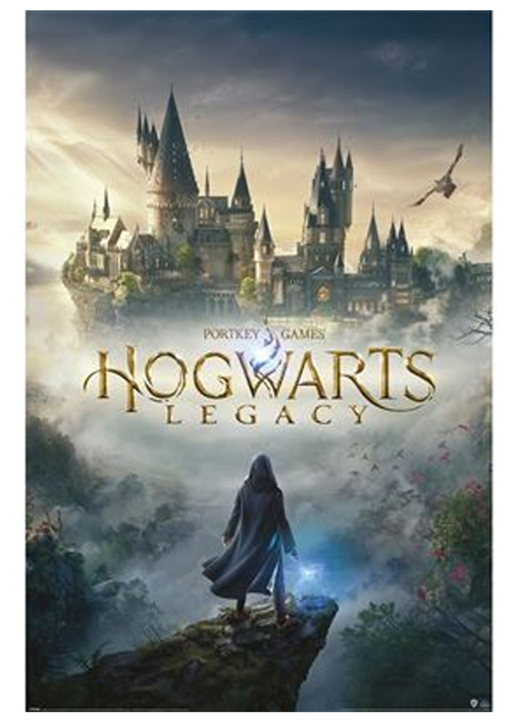 Hogwarts Legacy Wizarding World Universe Poster 61x91