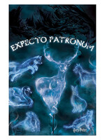 Harry Potter Patronus Poster  61x91cm