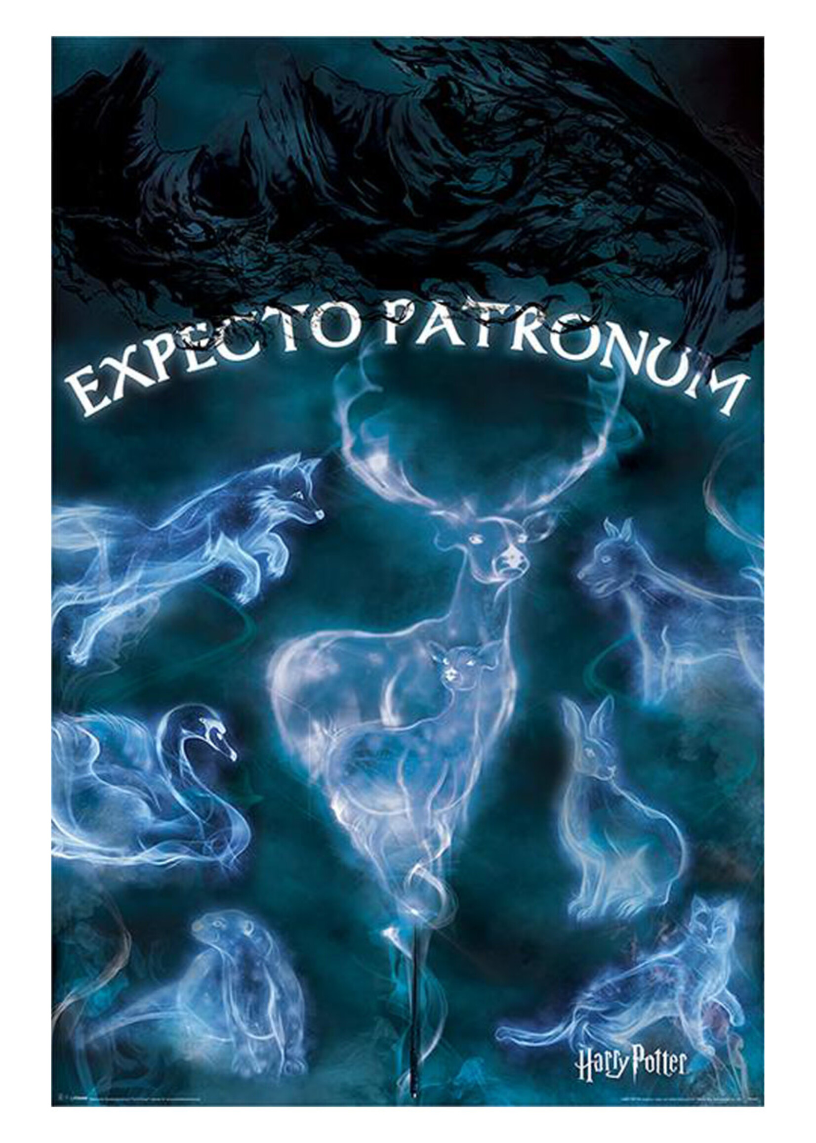 Harry Potter Patronus Poster  61x91cm