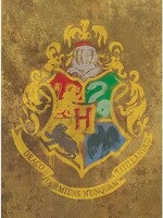 Harry Potter Hogwarts Crest Poster 61x91