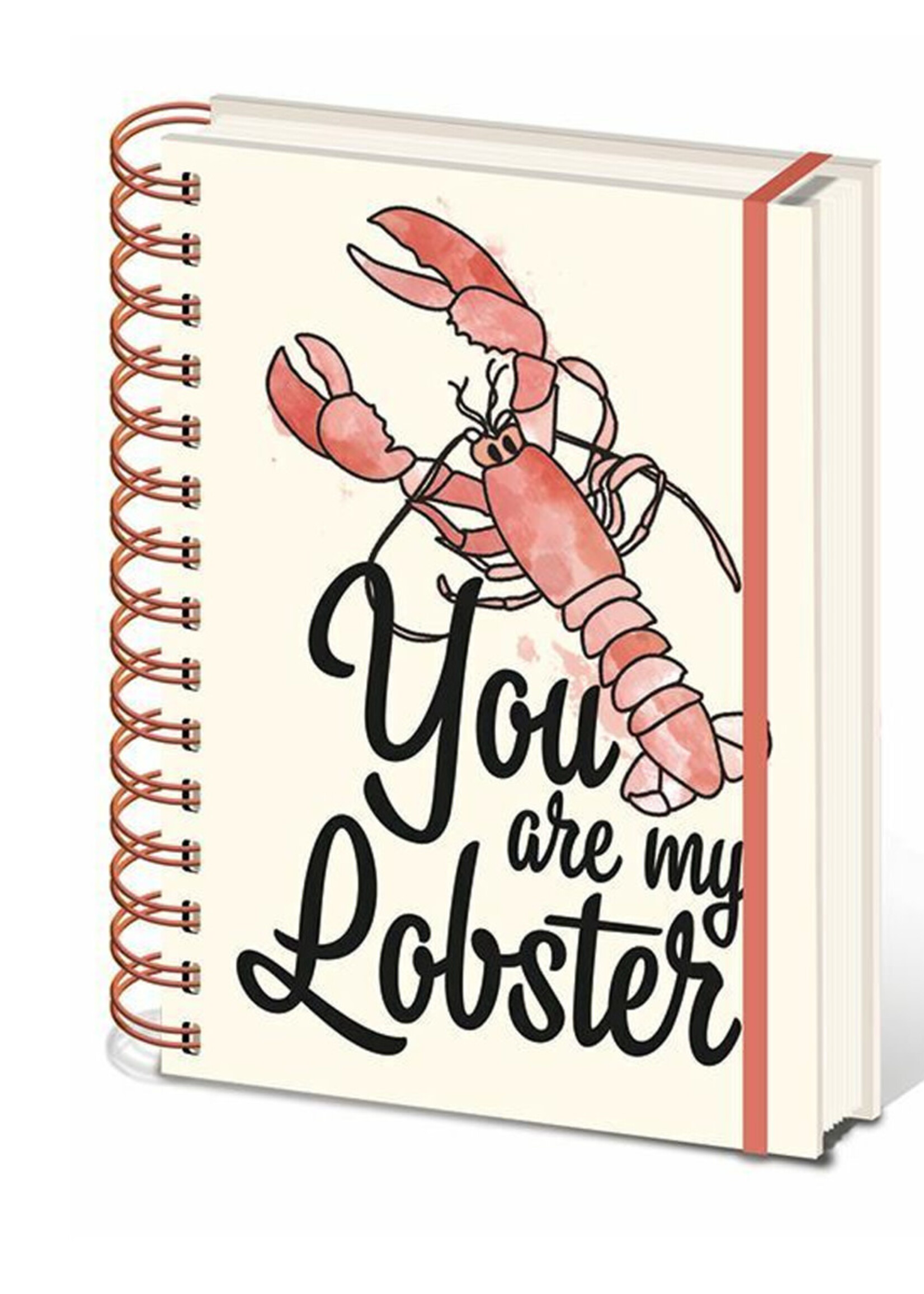 Friends You Are My Lobster Notebook A5