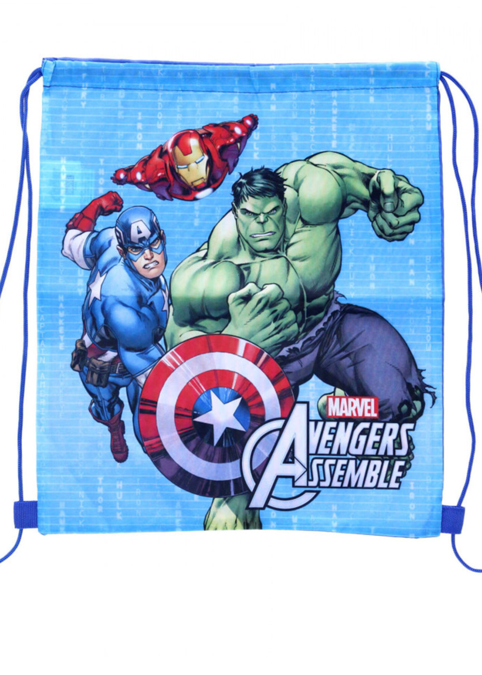 Avengers Sporttas Team