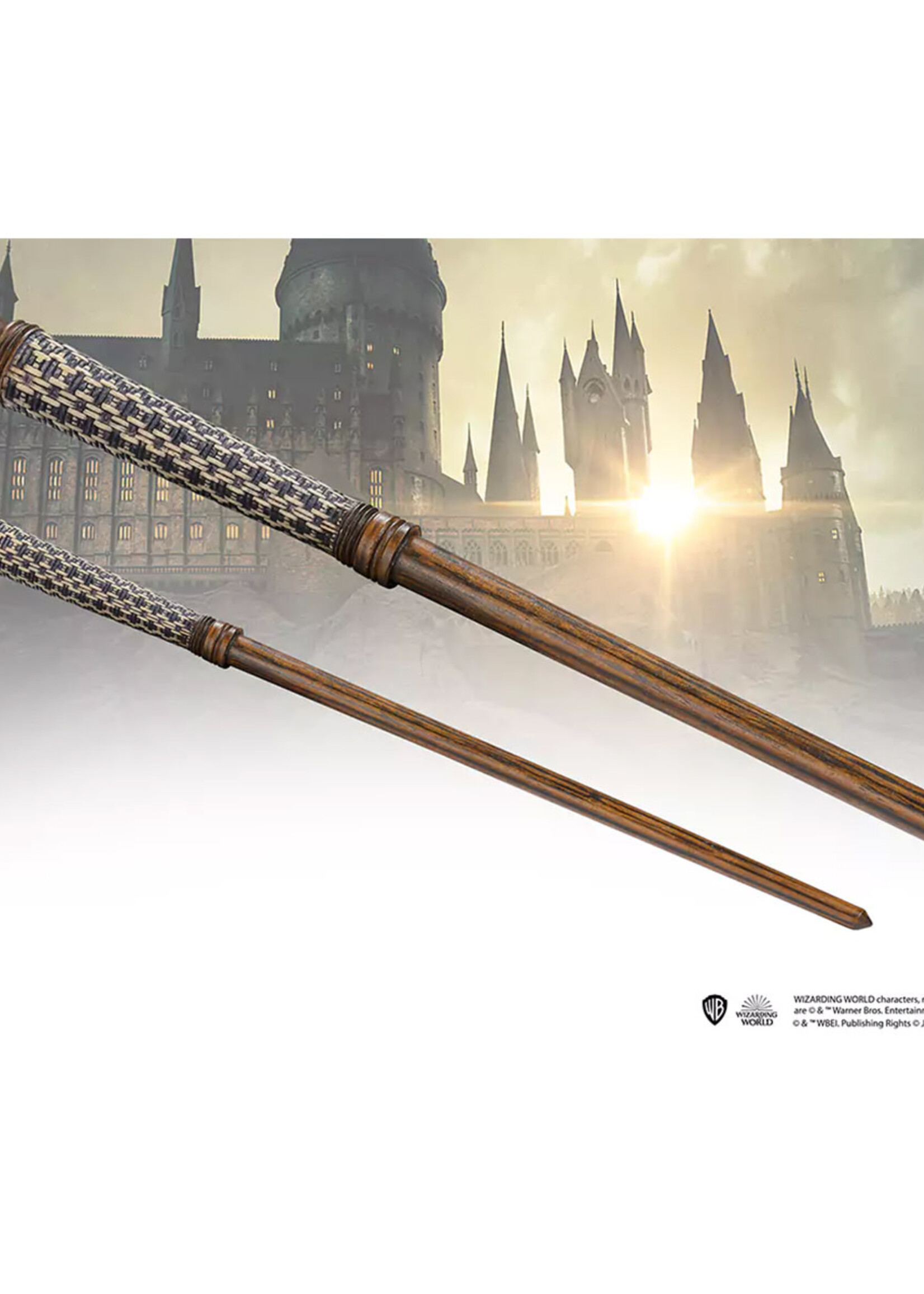 Fantastic Beasts Vicencia Santos Ollivander Wand