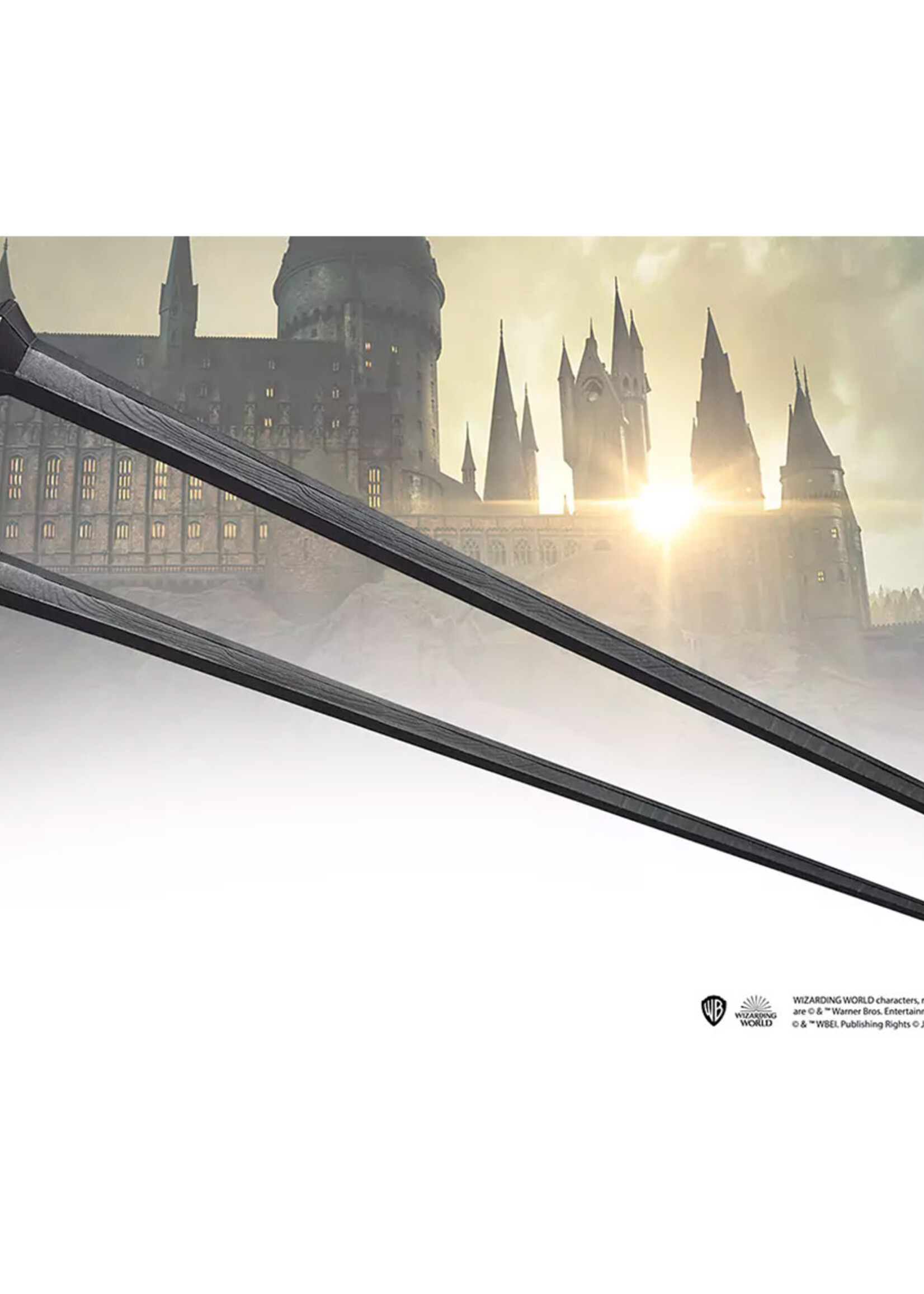 Fantastic Beasts Credence Barebone Ollivander Wand