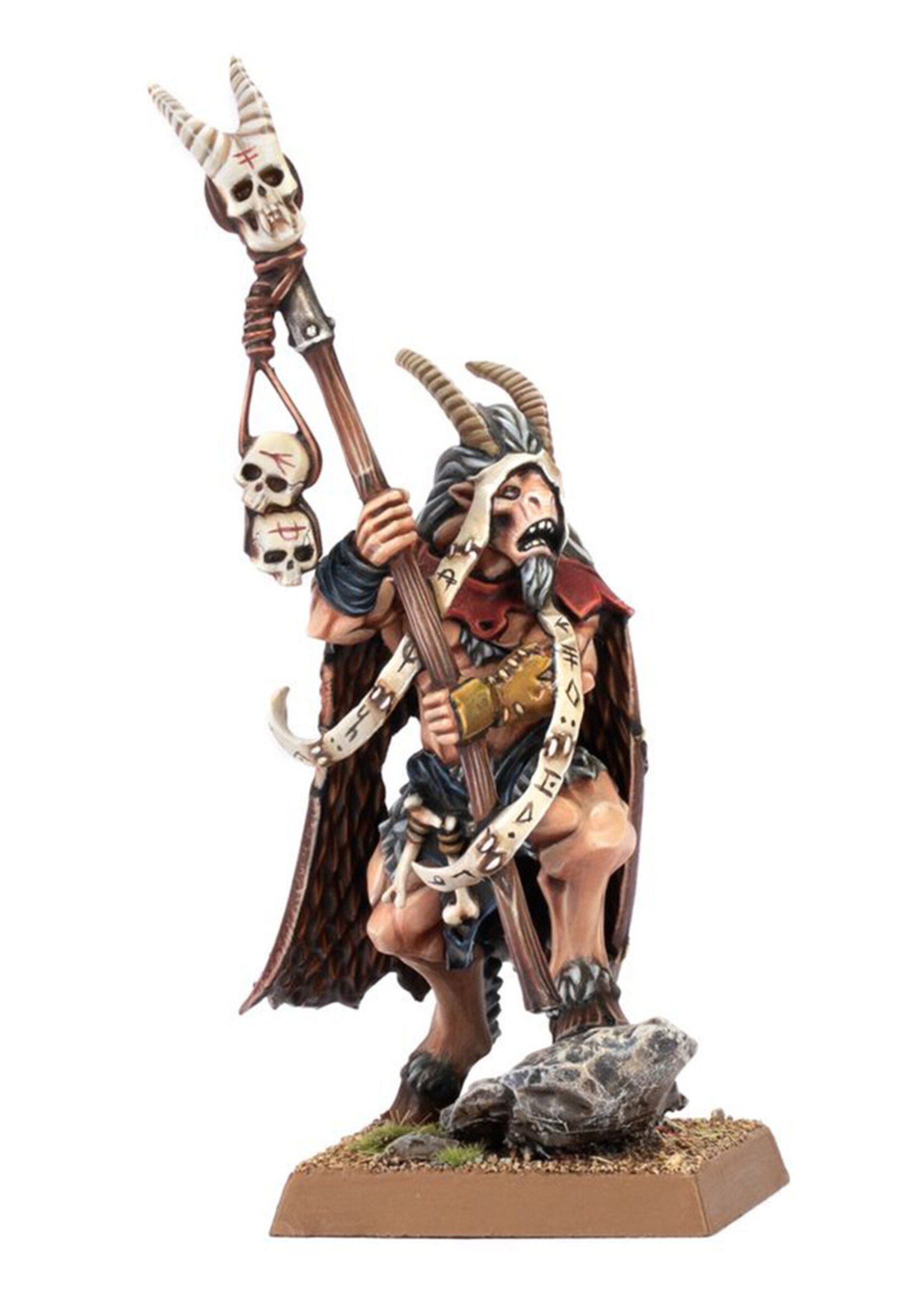 Beastmen Brayherds Beastman Shaman Warhammer TOW