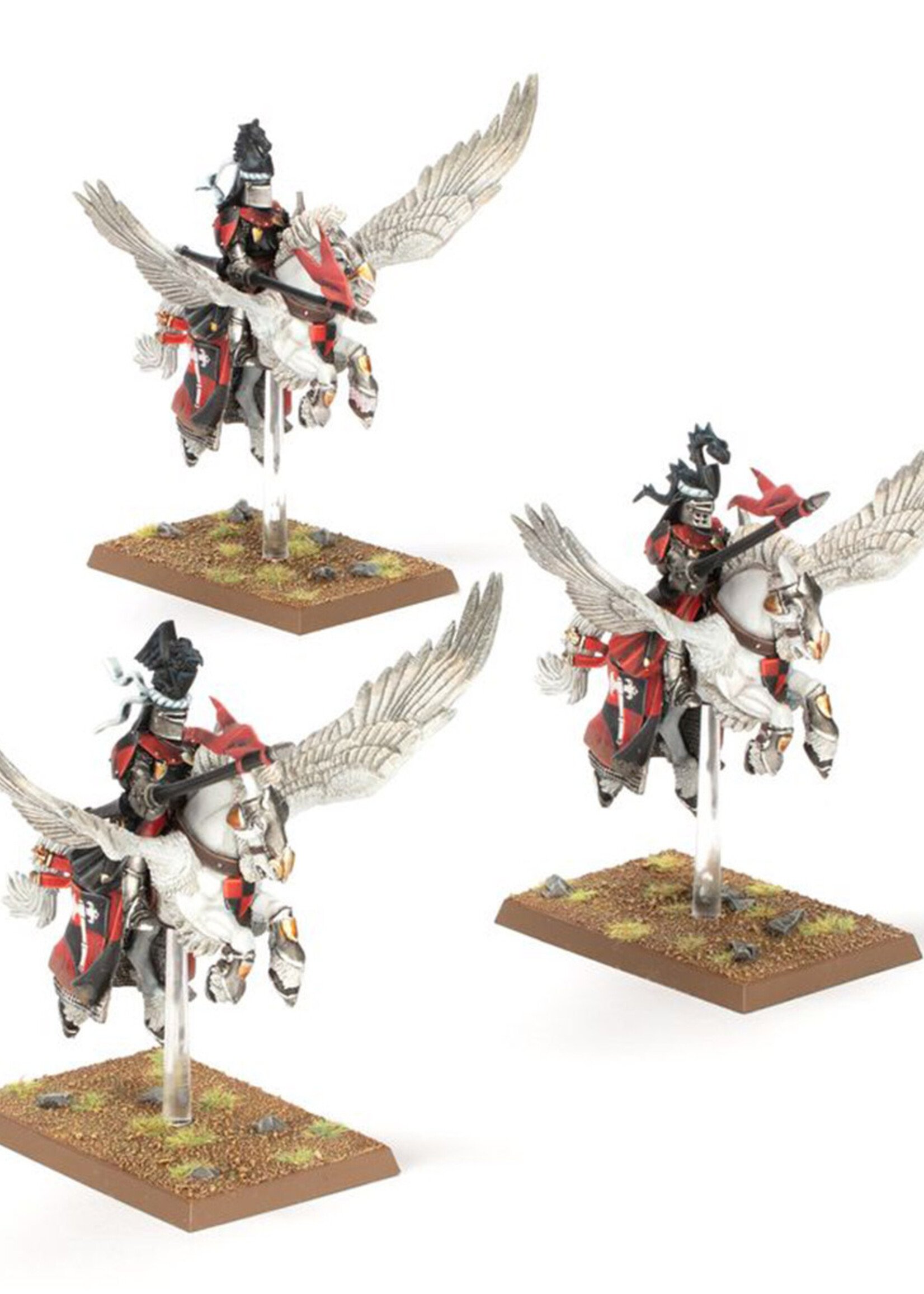 Kingdom Of Bretonnia Pegasus Knights TOW Warhammer