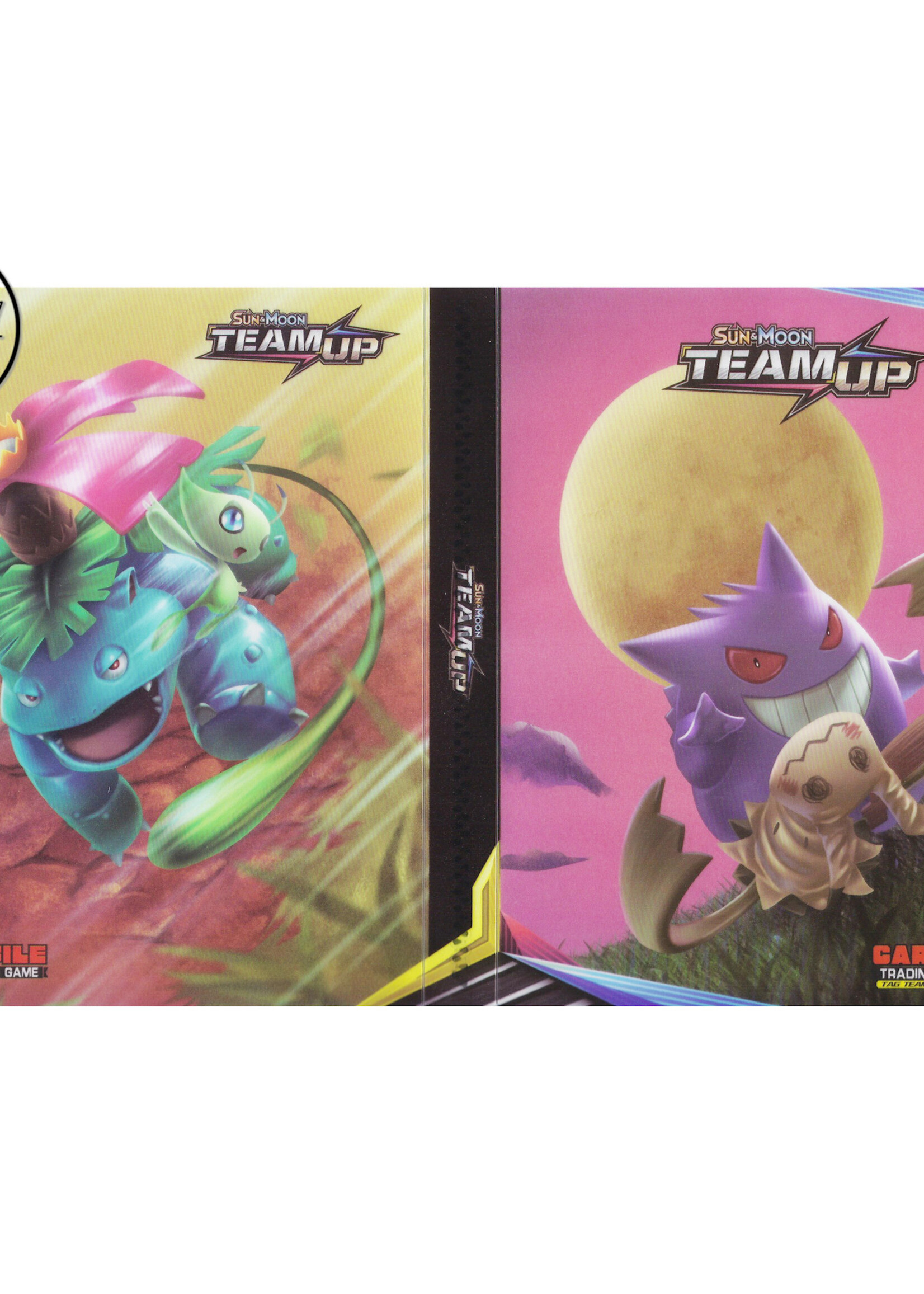 Pokemonmap voor 240 kaarten Gengar en Venusaur