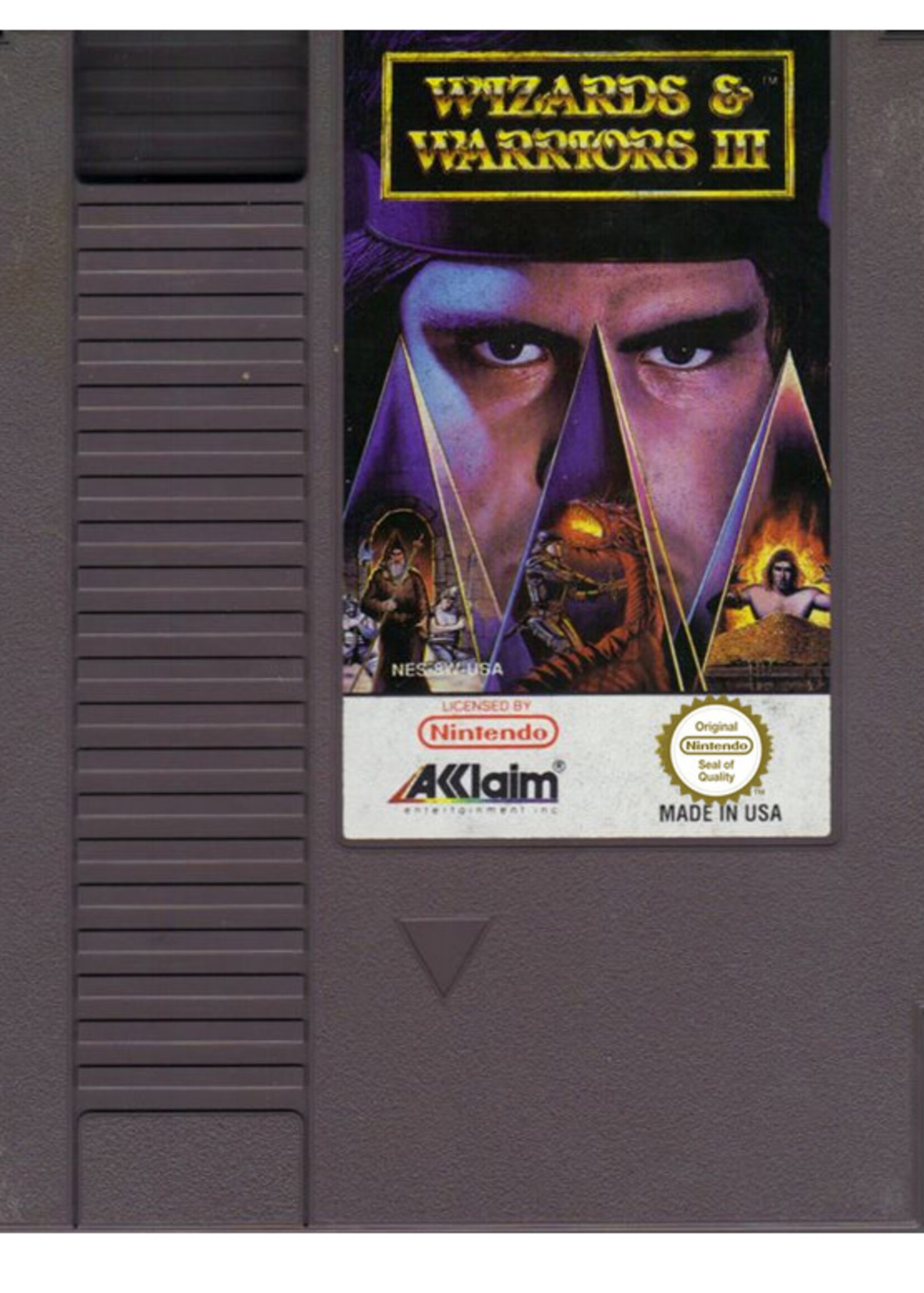 Wizards & Warriors III NES