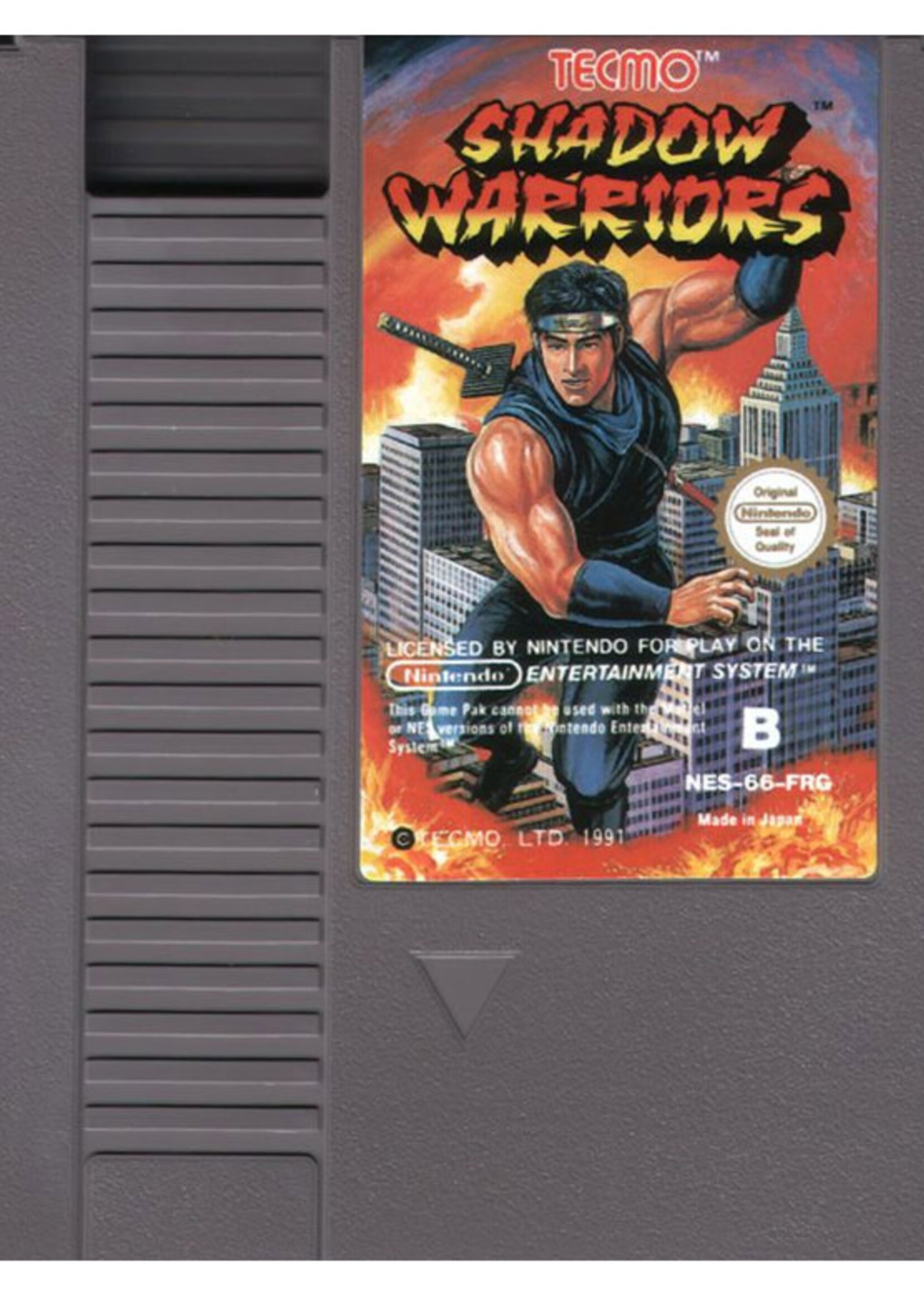 Ninja Gaiden NES
