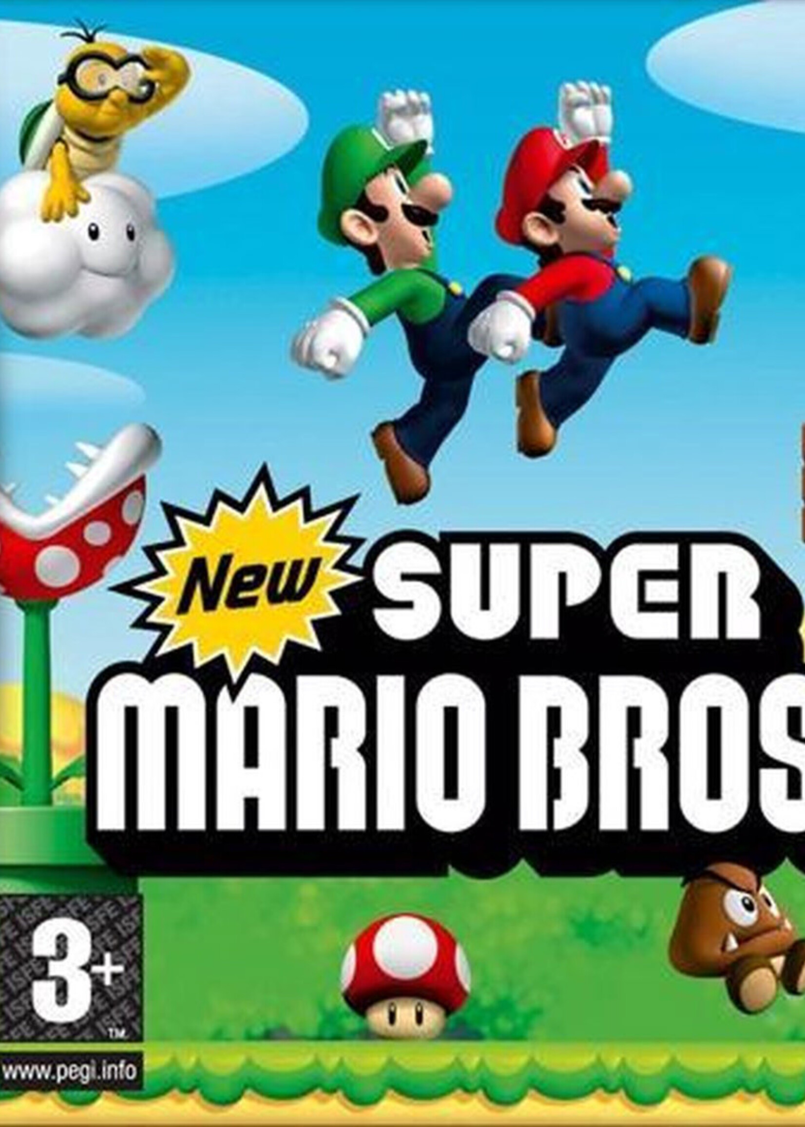 New Super Mario Bros DS