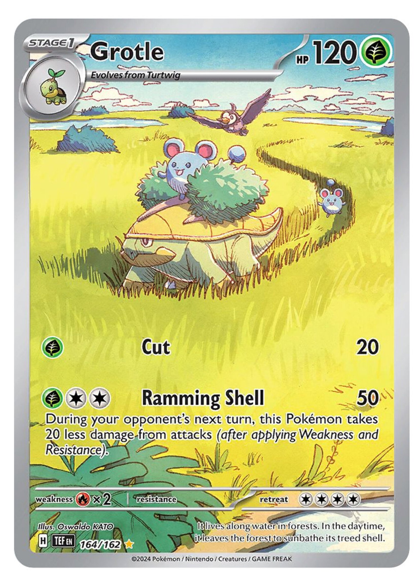 Grotle 164 (TEF): near mint