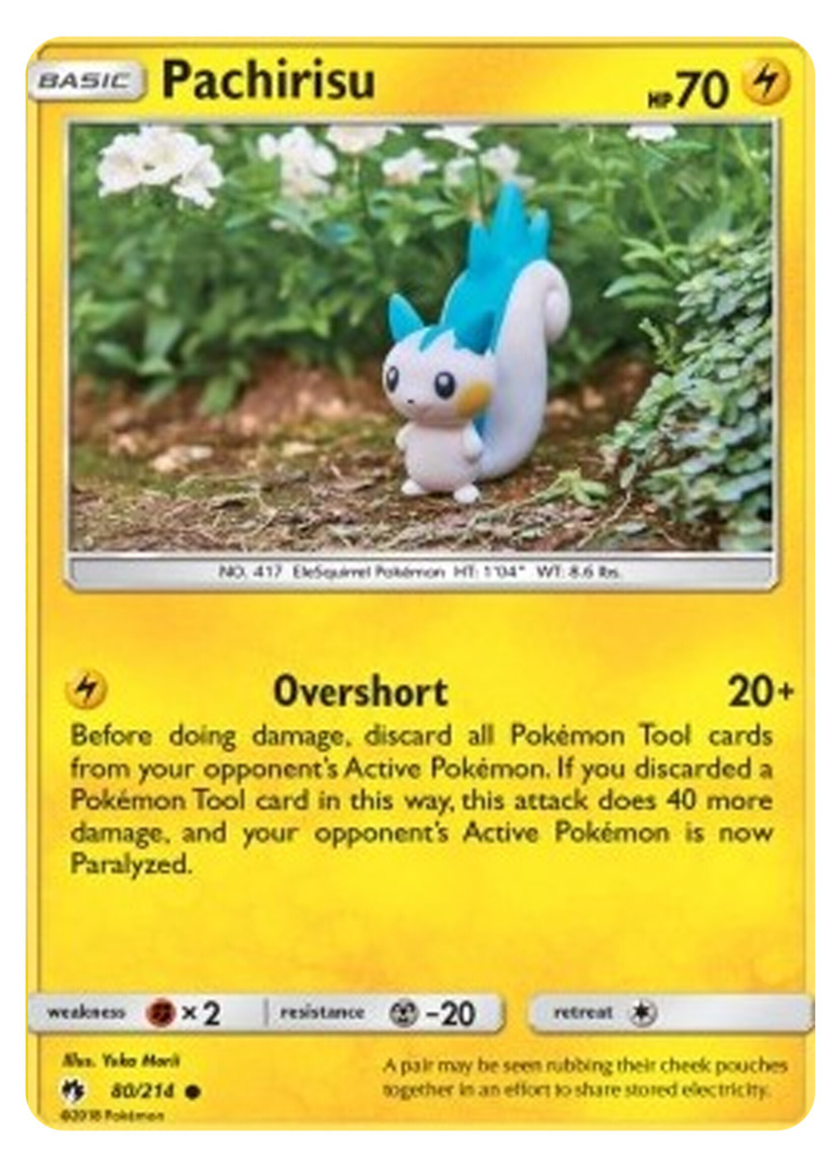 Pachirisu 80 (LOT): excellent