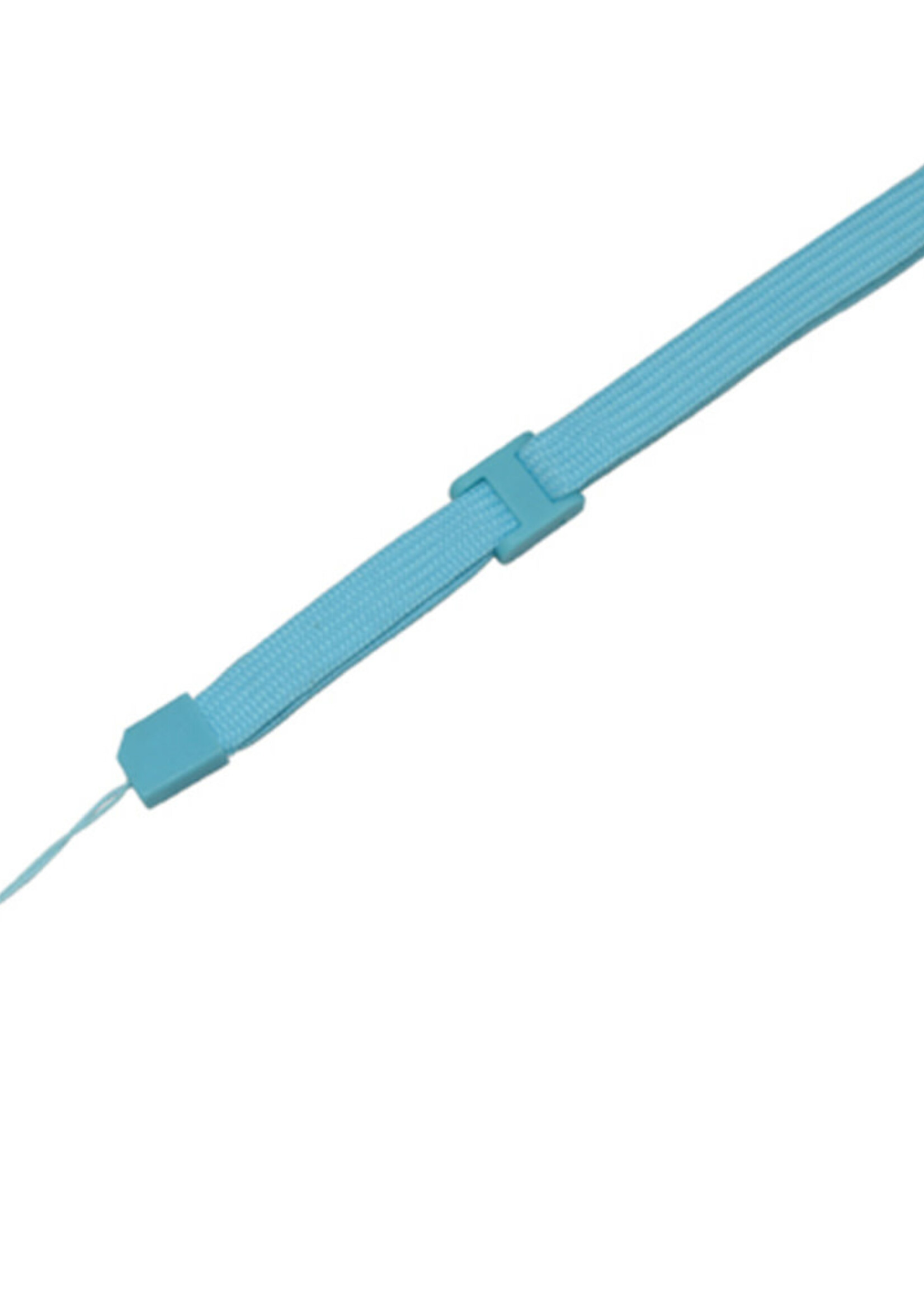 Wii Remote Strap Lichtblauw