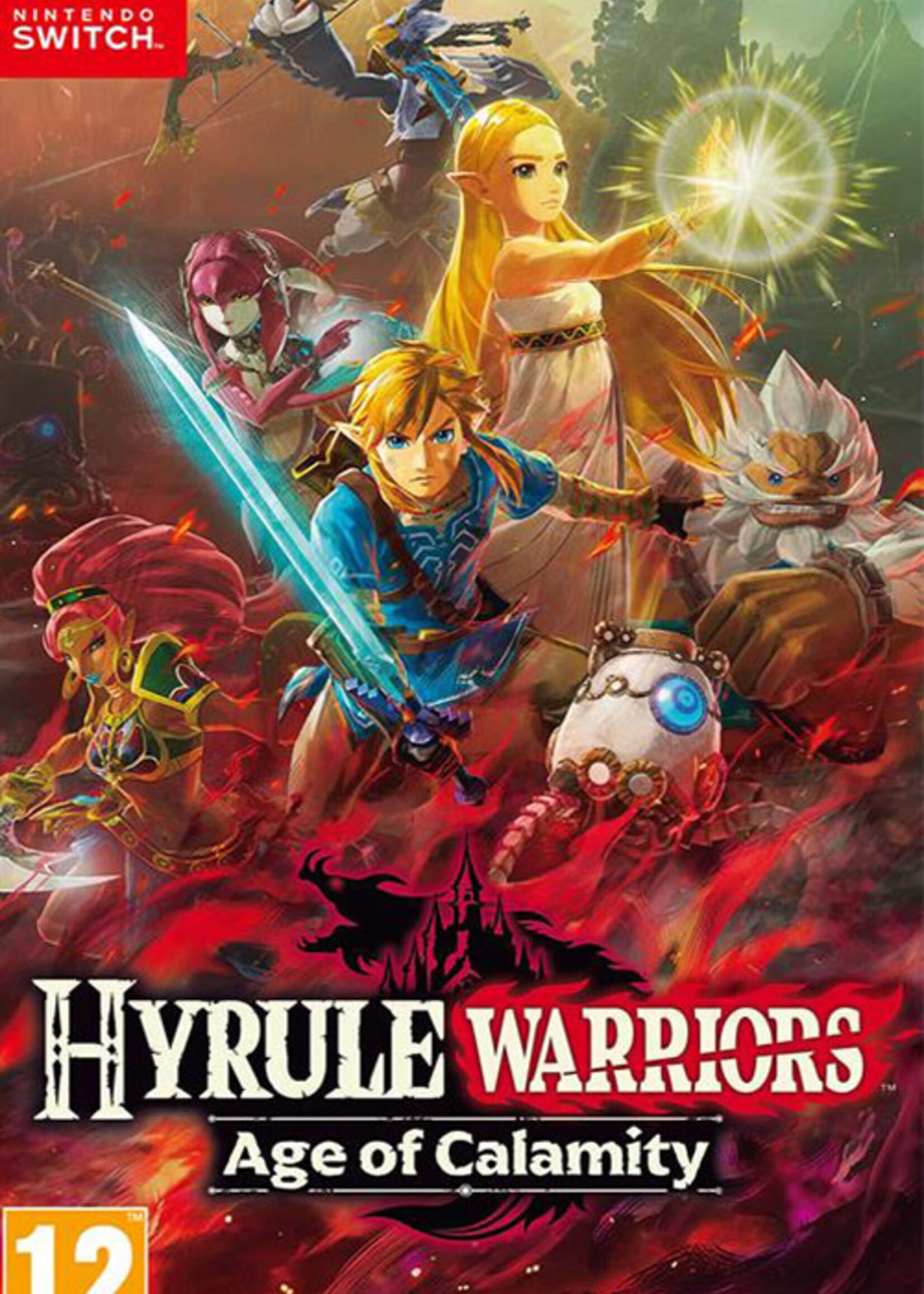 Hyrule Warriors Age of Calamity Switch