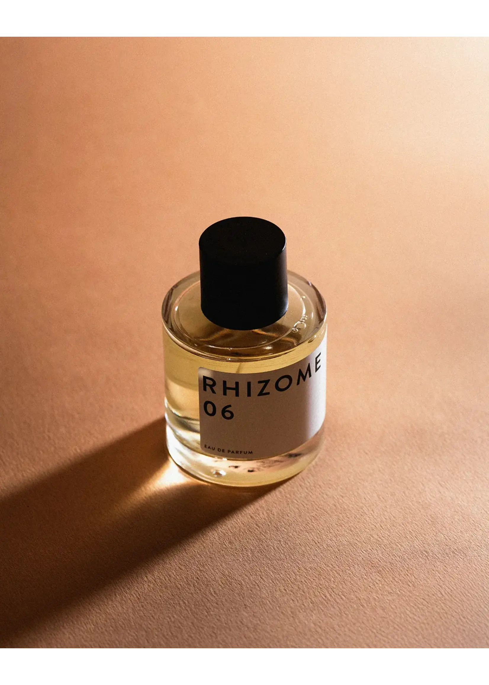 Rhizome Rhizome - 06