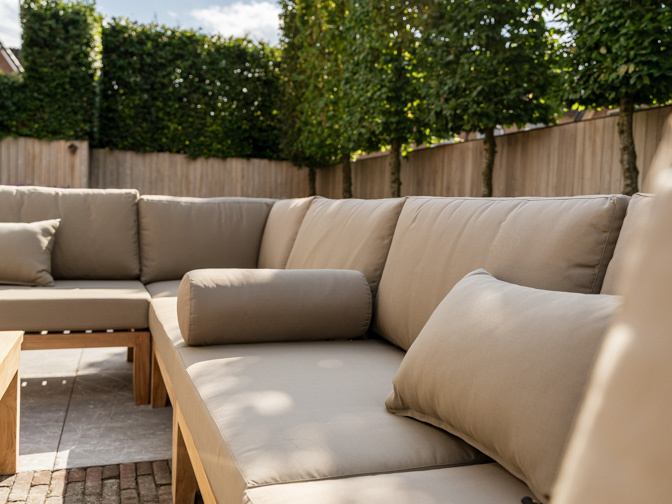 From tree to living room: the journey of teak wood