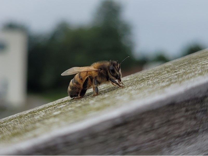 “Clean spots” on teak garden furniture