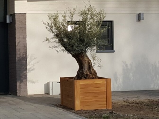 Teak flower box 90x90x70cm