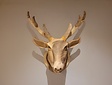 Large Wooden Deer Head - Size L