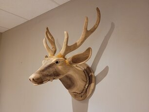 Large Wooden Deer Head - Size M