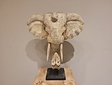 Elephant head on stand - 40cm