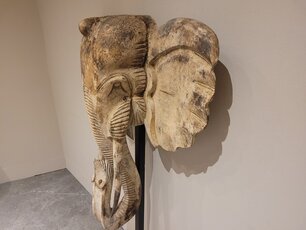Elephant head on stand - 150cm