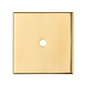 Fingertip Designs Harmonise Rückplatte für Möbelknäufe | 40 x 40mm | Messing Poliert Fingertip Designs Harmonise Rückplatte für Möbelknäufe | 40 x 40mm | Messing Poliert