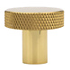 Messtique Möbelknopf Knurled Radio | 32mm | Messing poliert - lackiert Messtique Möbelknopf Knurled Radio | 32mm | Messing poliert - lackiert