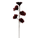 Gifts Amsterdam Weinrote Kunstblume aus Federn 85cm | 5-fach Gifts Amsterdam Weinrote Kunstblume aus Federn 85cm | 5-fach