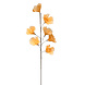 Gifts Amsterdam Terra Kunstblume aus Federn 95cm | 7-fach Gifts Amsterdam Terra Kunstblume aus Federn 95cm | 7-fach