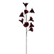 Gifts Amsterdam Weinrote Kunstblume aus Federn 110cm | 9-fach Gifts Amsterdam Weinrote Kunstblume aus Federn 110cm | 9-fach