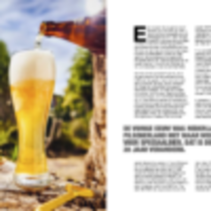 De Ultieme Reeks Het Ultieme Bier en BBQ boek